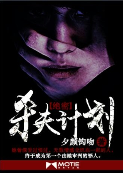 绝密杀夫计划