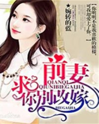 前妻，求你别改嫁