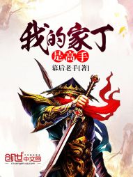 我的家丁是高手