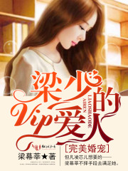 完美婚宠：梁少的VIP爱人