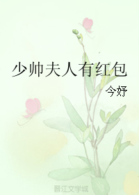 少帅夫人有红包