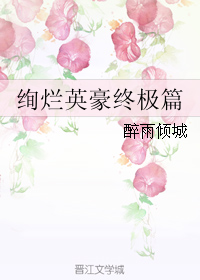 绚烂英豪终极篇